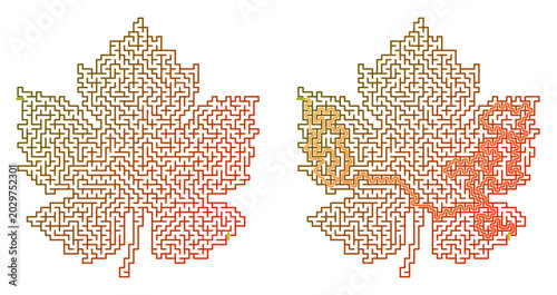 Valokuva Grapevine leaf maze design illustration with intricate paths and lines