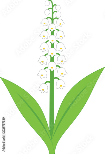 Foto Lily of the valley flower vector illustration featuring delicate white bell shaped blossoms on a green stem with leaves isolated on a white background