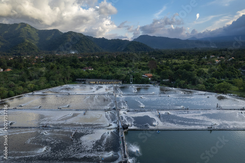 Aerial view of a shrimp farm with aquaculture ponds set near a tropical coast and mountain landscape in Indonesia.
