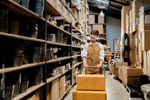 Cuadro en lienzo asian warehouse worker with trolley brown cardboard box container in store rack,