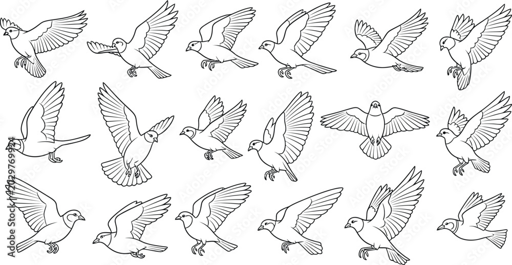 Fototapeta premium Silhouette of multiple birds in flight isolated on transparent background