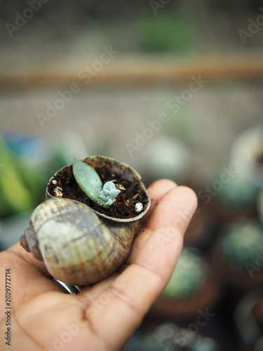 a closeup shot of a hand holding a white flower with a blurred background