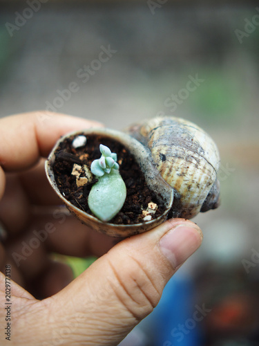 a closeup shot of a hand holding a white flower with a blurred background