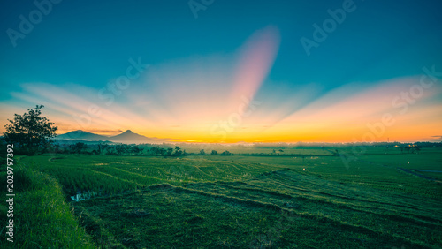 sunrise over the field