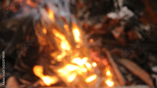 Foto Burning Pile of Dry Leaves and Branches During Backyard Cleanup