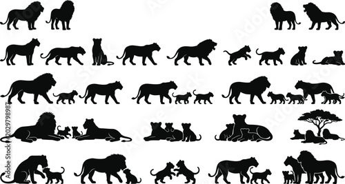 Quadro su tela Black Lion Family Silhouette Collection Featuring Male Female and Cubs in Walkin