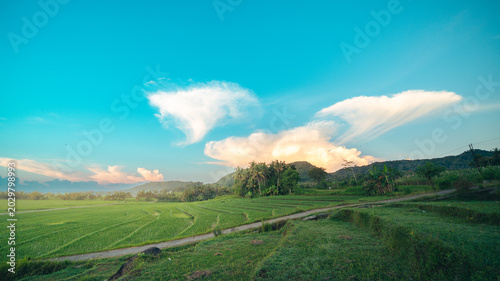 landscape with clouds