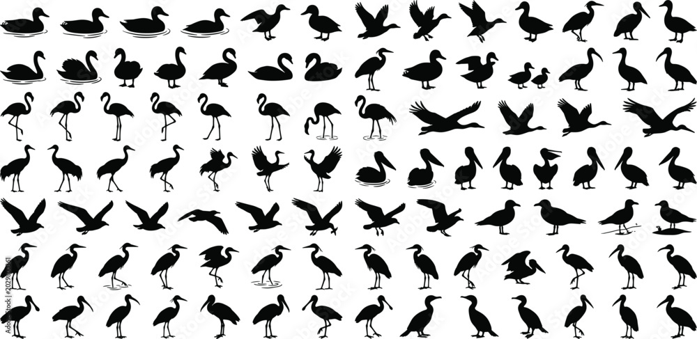 Naklejka premium Massive Black Silhouette Collection of Diverse Water Birds Including Flamingo Heron Pelican Duck and Swan Poses