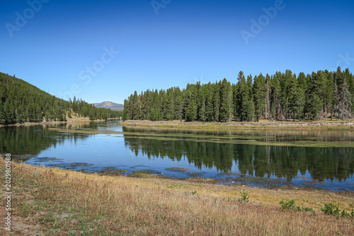 Reflections of trees on Yellowstone River, Yellowstone National Park, Wyoming, USA