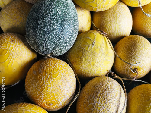 Foto Whole melon, honeydew melon, Favorite fruit in summer