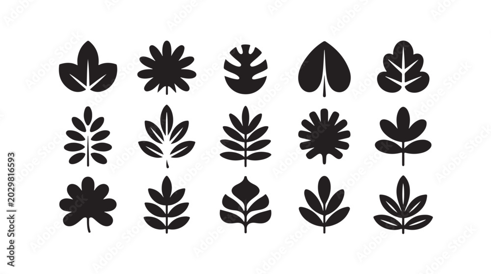 Obraz premium Assorted black leaf icons vector collection on transparent background nature symbols.