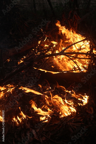 Large Blazing Bonfire with Roaring Orange Flames at Night