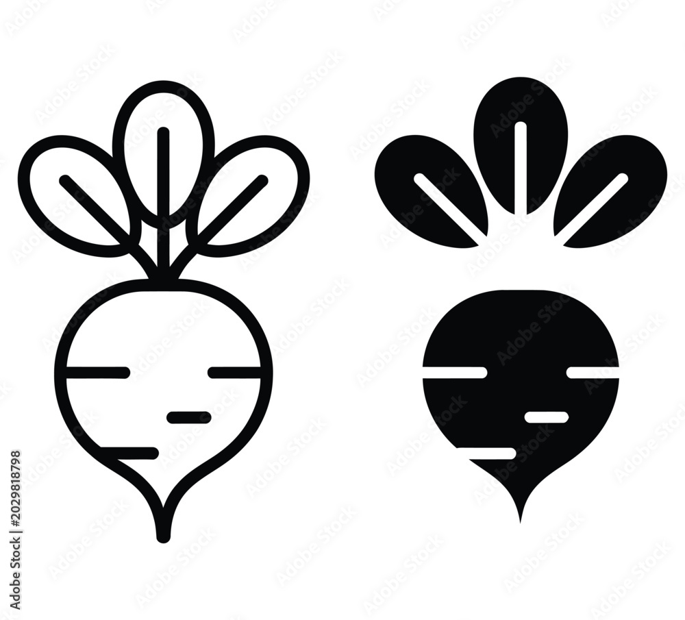 Fototapeta premium Fresh beetroot vegetable icon in outline and solid black silhouette styles