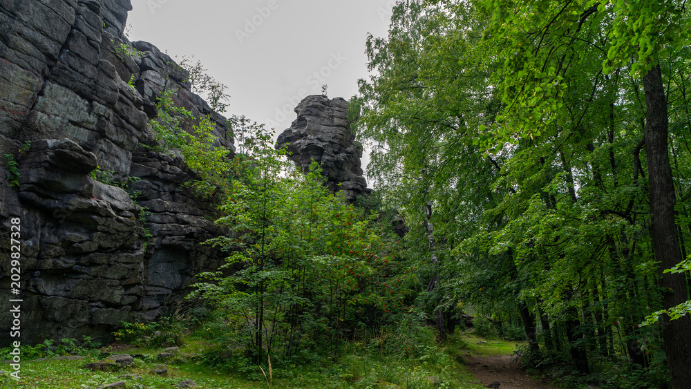Fototapeta premium Seven Brothers and One Sister, remnants of rock at top of Semibratskaya Mountain in Middle Urals, Nevyansky district, Sverdlovsk region, Russia, near village Verkhneuvinsky