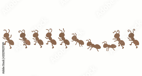 Foto Cute cartoon ants marching in line isolated vector design