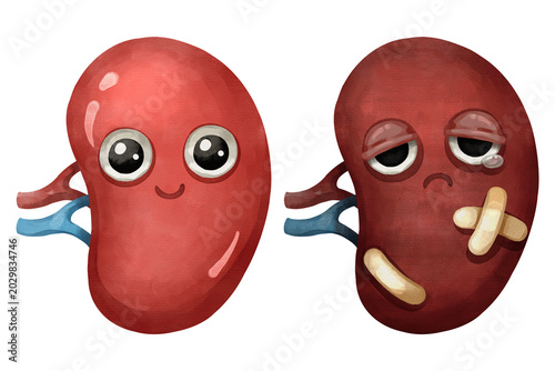 Healthy and sick spleen cartoon characters set. Hand drawn watercolor illustration comparing a happy organ with an injured organ with bandages.