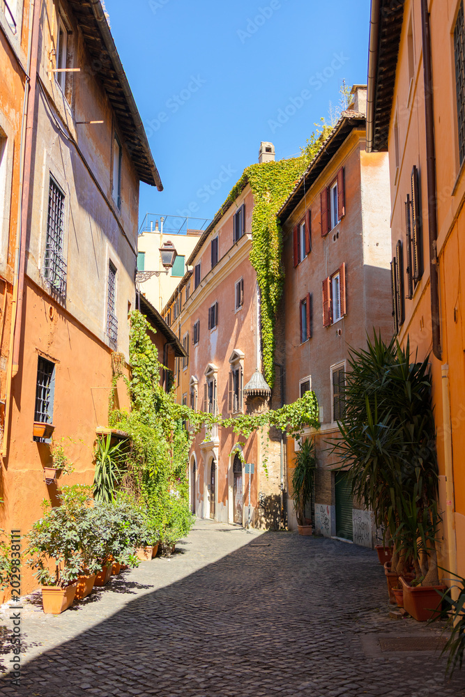 Fototapeta premium Traditional Italian city alleyway with cobblestone pavement and classic Mediterranean architecture under blue sky.