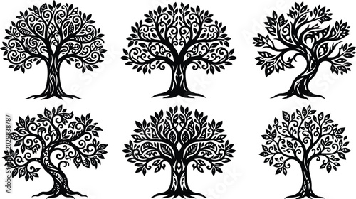 Decorative tree silhouettes with ornate swirl patterns, set of 6 black vector tree icons, stylized nature elements for organic branding and logo design isolated on White Background