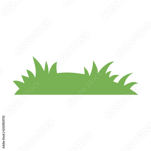 Foto Green grass border patch flat lawn meadow turf landscape material vector illustr