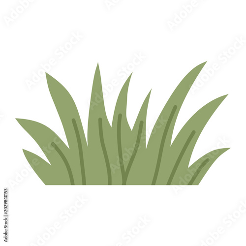 Photos Light green ornamental grass tuft symmetrical backyard lawn vegetation flat vect