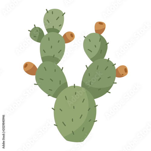 Prickly pear cactus opuntia green pads orange fruit desert plant flat vector illustration