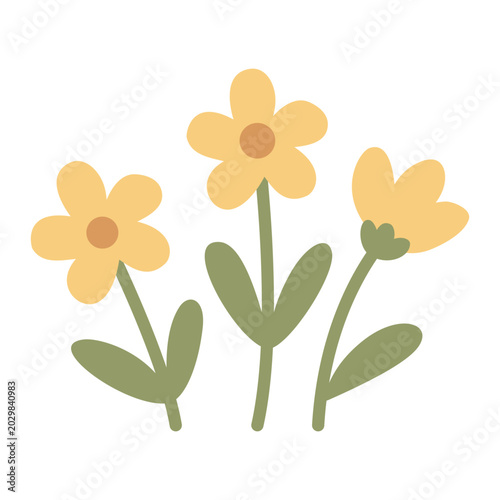 Trio of yellow wild daisy flowers green stem garden flora element flat vector illustration
