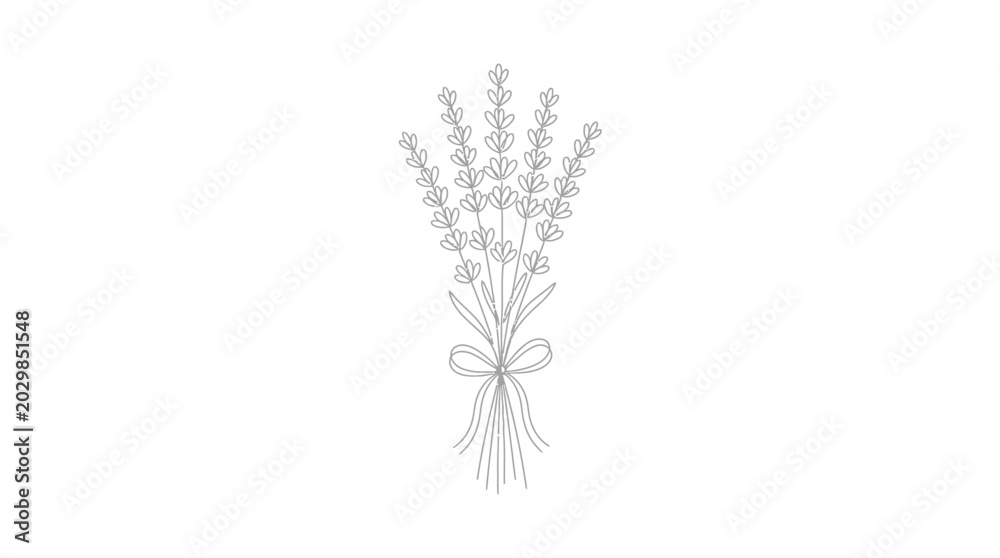 Fototapeta premium Lavender Bouquet Line Art Drawing Isolated White Background