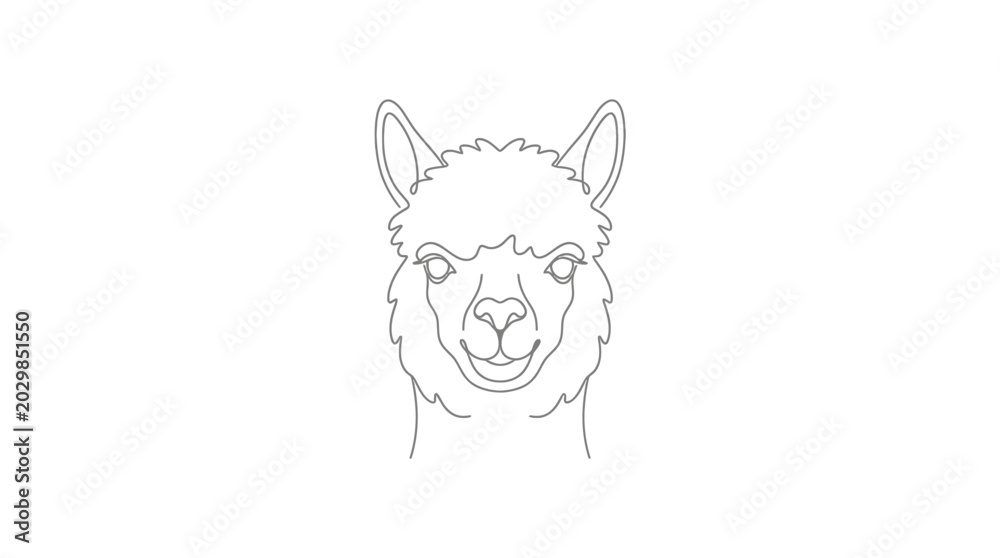 Fototapeta premium Line Art Portrait of a Cute Alpaca Face, Minimalist Animal Illustration