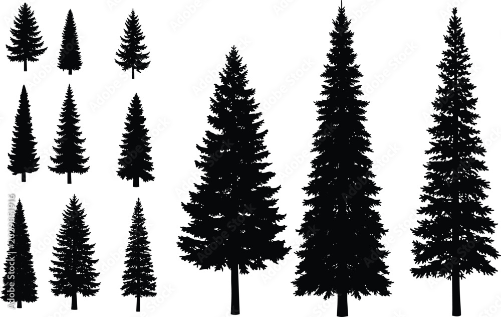 Obraz premium Evergreen Pine Tree Silhouette Collection with Forest Conifer Shapes for Nature Landscape Outdoor and Woodland Design Projects