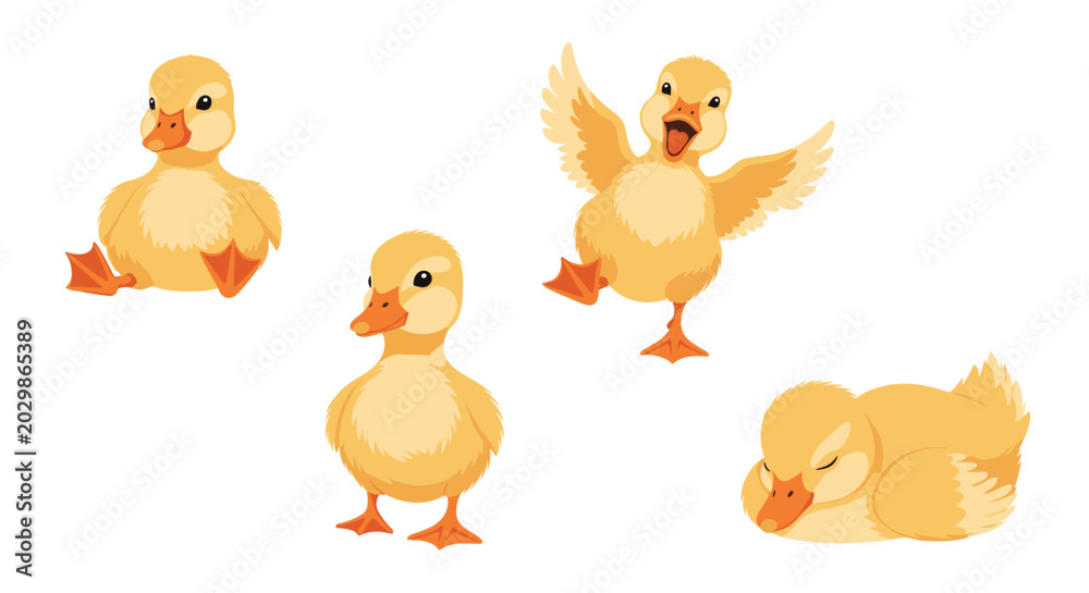 Fototapeta premium Group of four cute yellow ducklings shown in various playful and sleepy poses on a clean white background for kids.