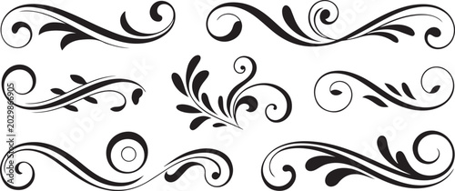 Set of Ornate Black and White Decorative Swirls flourish. logo Vector Black silhouettes