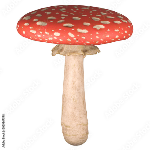 Tableau sur toile Fly Agaric Mushroom Red Toxic Forest