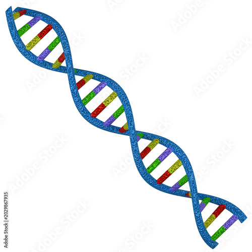 Fotografía DNA Structure Biology Lesson Science Education