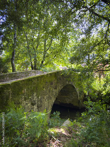 Old stone bridge covered in green moss within a lush forest setting at Passadicos do Rio Uima Santa Maria da Feira Portugal