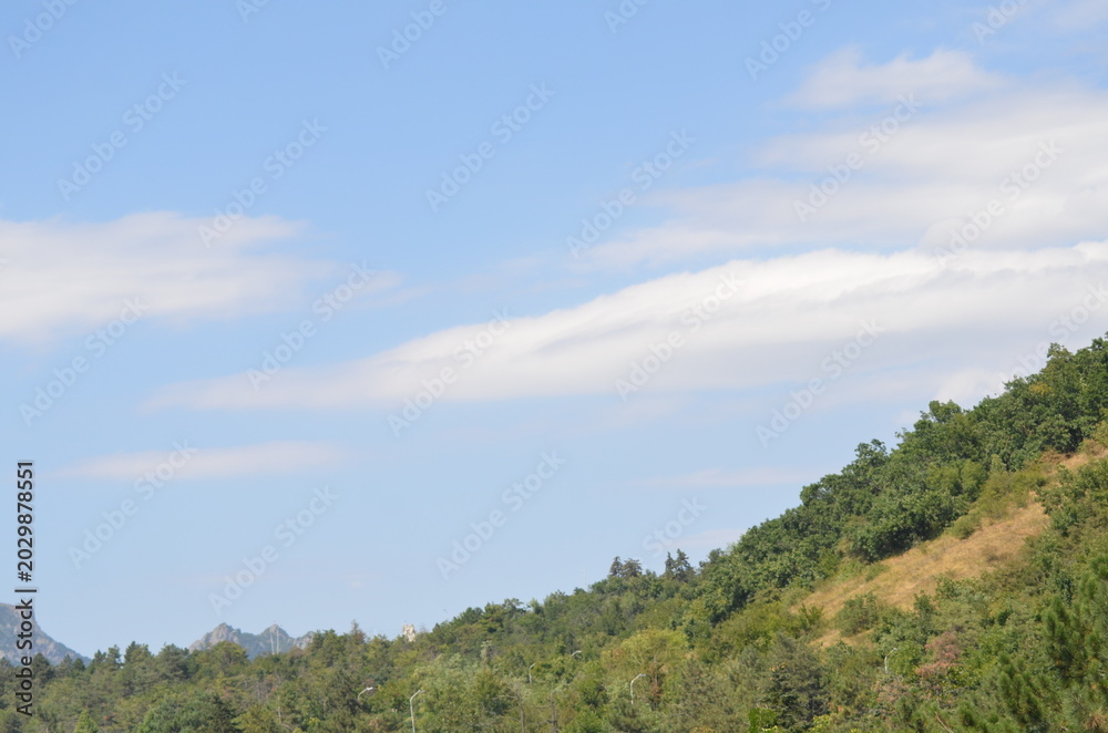 Fototapeta premium Beautiful landscape of lush green hills covered with forest under a blue sky with soft white clouds. A peaceful natural scenery representing wilderness, hiking, and summer trave
