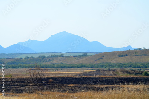 A wide panoramic view of blue mountain peaks on the horizon behind rolling hills and green valleys. Serene summer landscape under a clear sky in the Caucasus region. Scenic nature background