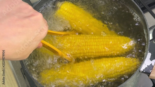 Canvastavla Hand uses tongs to lift corn on the cob from a pot of boiling water on a stoveto
