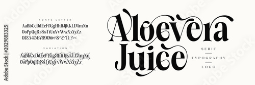 Elegant ligature alphabet letters font logo. Typography luxury classic lettering serif fonts decorative wedding vintage retro logos, design for fashion, beauty shop and brand . vector illustration