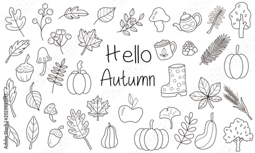 Black and white line outlines of autumn plant decorative elements