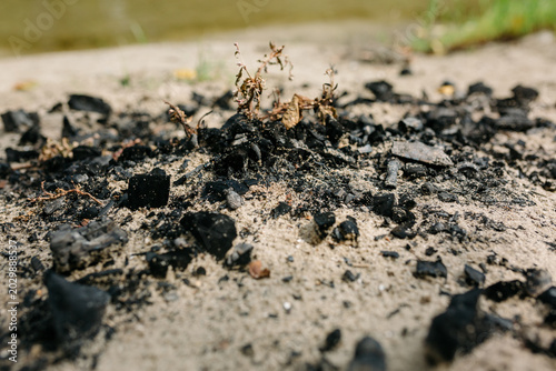 Картината върху платно The remains of burnt garbage on a sandy beach