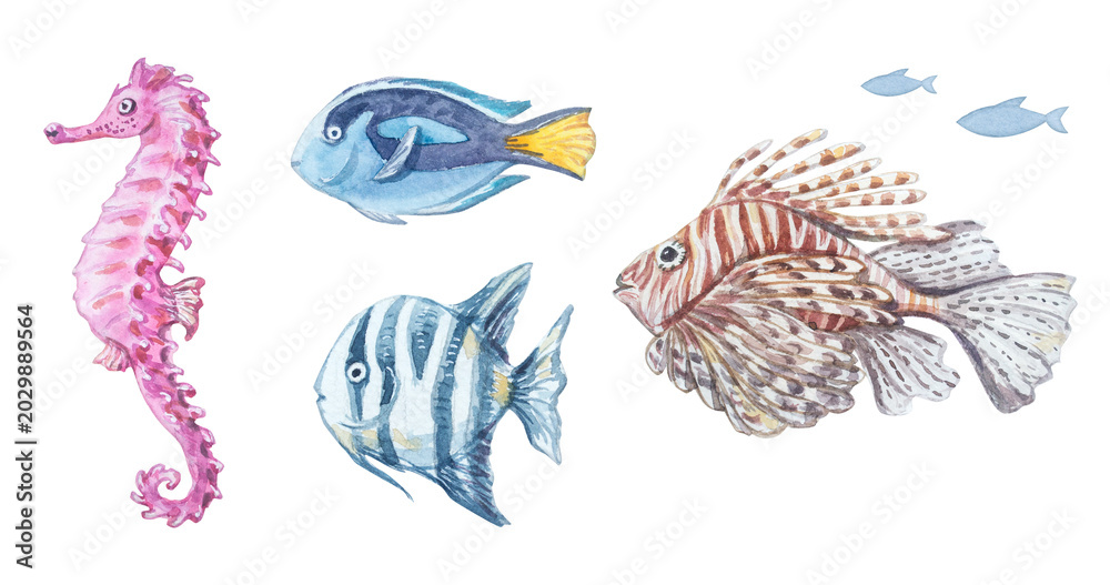 Fototapeta premium Watercolor Red Sea life animals set isolated on white background. Hand drawn marine collection of cute ocean seahorse, blue tang, convict tang and lionfish. Detailed underwater creatures clip art