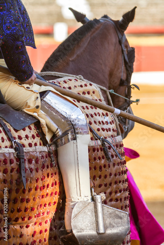 Picador bullfighter, lancer whose job it is to weaken bull's neck muscles, in the bullring for Jaen, Spain