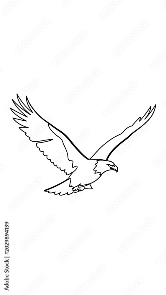 Fototapeta premium Eagle in flight, line art drawing, majestic bird of prey soaring, freedom concept