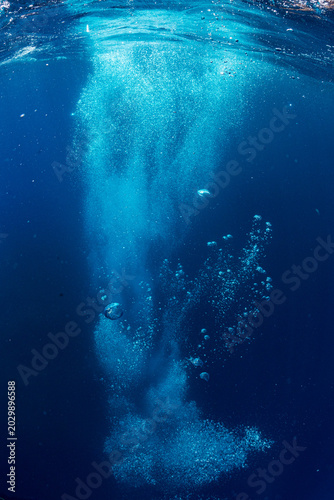 Fotografie a dive in the Mediterranean waters among the air bubbles