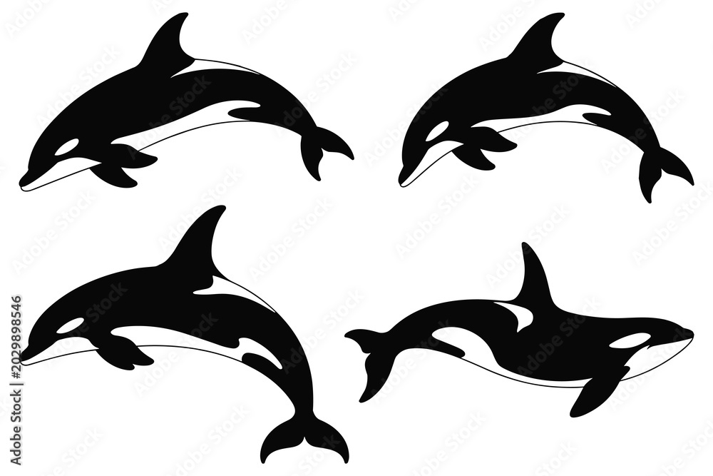 Fototapeta premium Orca whale silhouettes in various poses black and white silhouette