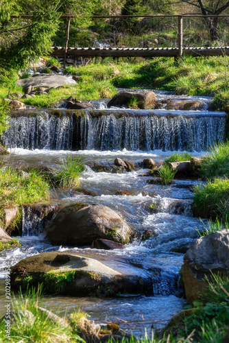 Scenic Waterfall Landscape with Forest and Mossy Rocks