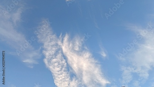 Obraz na plátně low-angle commercial photograph capturing fine, feathery strands of white cirrus clouds sweeping dynamically across a brilliant blue sky