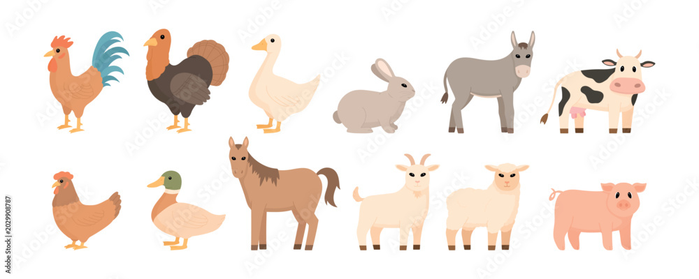 Fototapeta premium Set of farm animals vector illustration isolated on white background. Collection of cute livestock characters in flat cartoon style for agriculture, countryside, education, mascot, sticker, icon