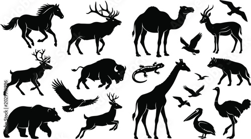 Photography Detailed black animal silhouettes set featuring a diverse collection of wild mam