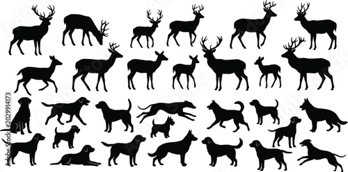 Photography Silhouette collection of various deer species and diverse dog breeds isolated on